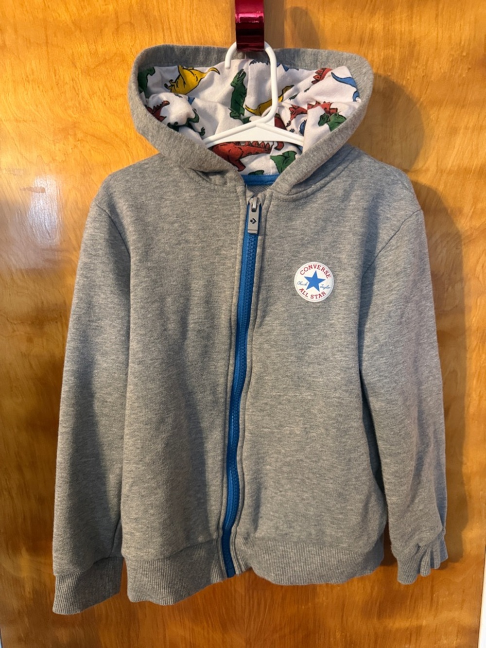 Converse Gray Zip Hoodie with Dino-Print Hood Lining